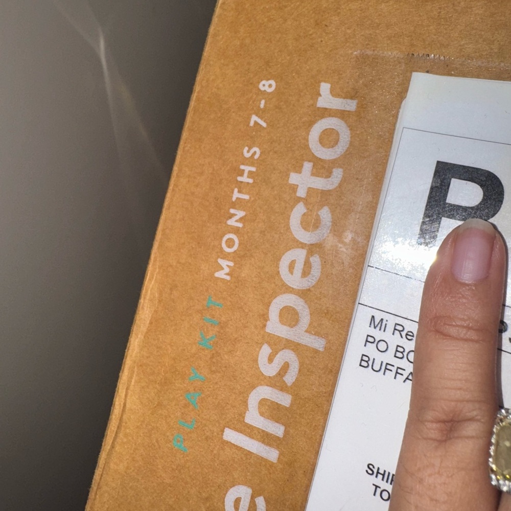 The Inspector Play Kit for Months 7-8